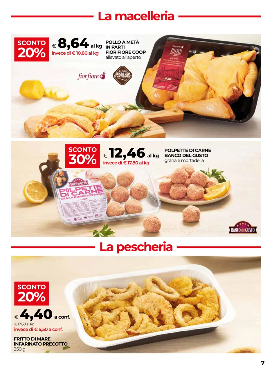 Pagina 7