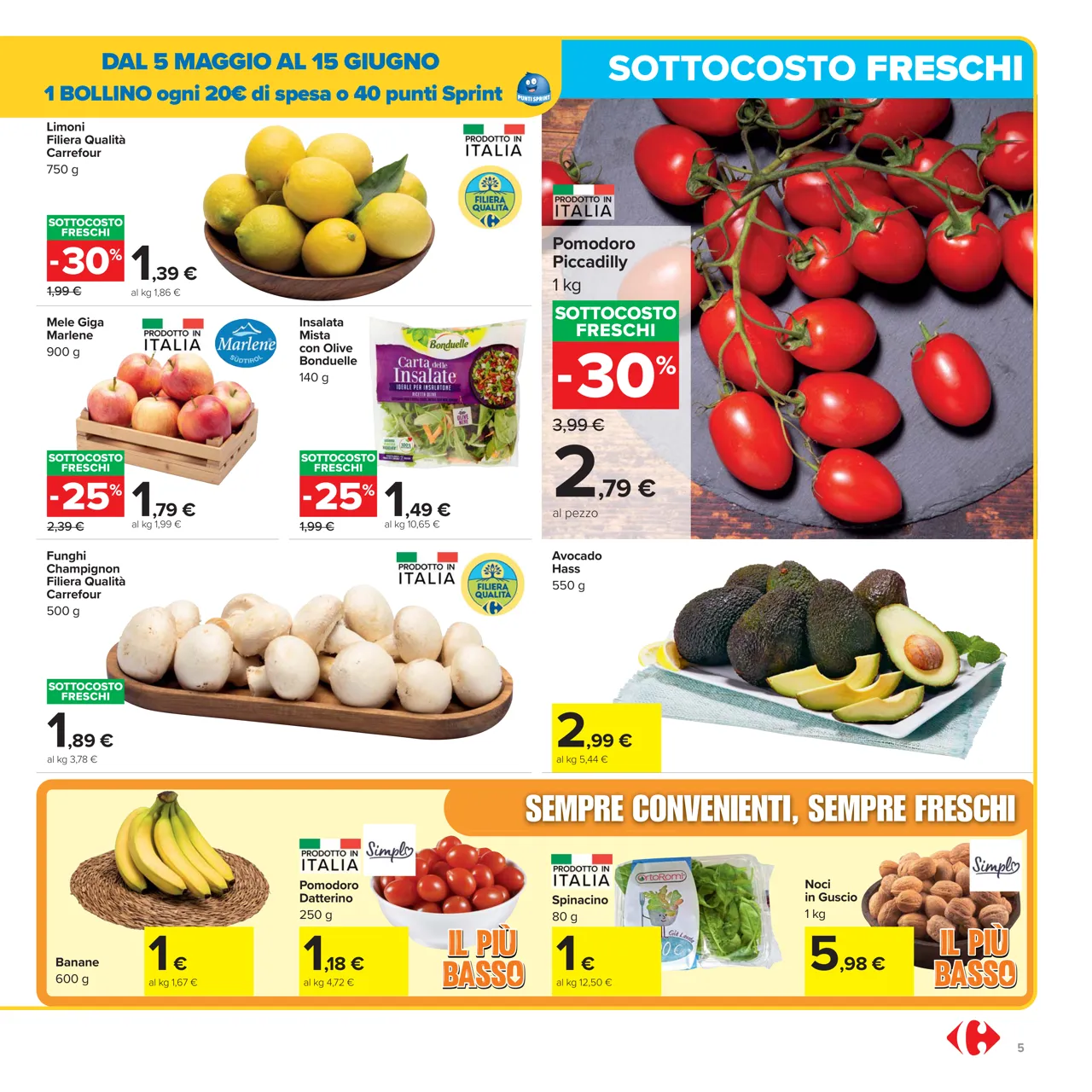 Pagina 5