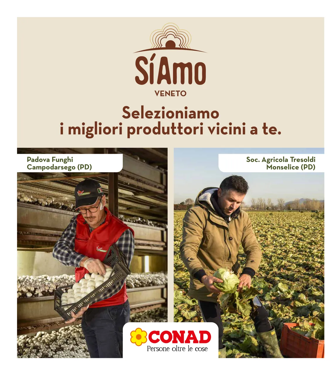 Pagina 34