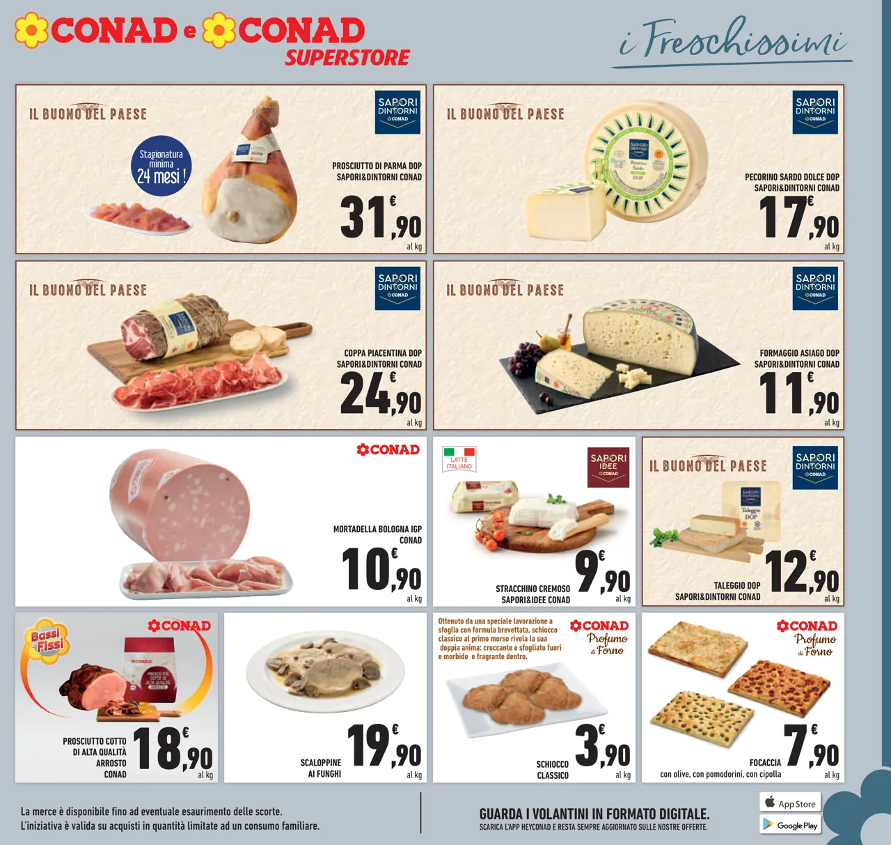 Pagina 15