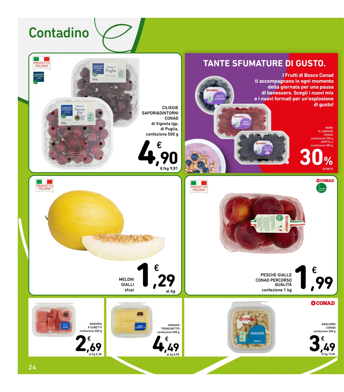 Pagina 24