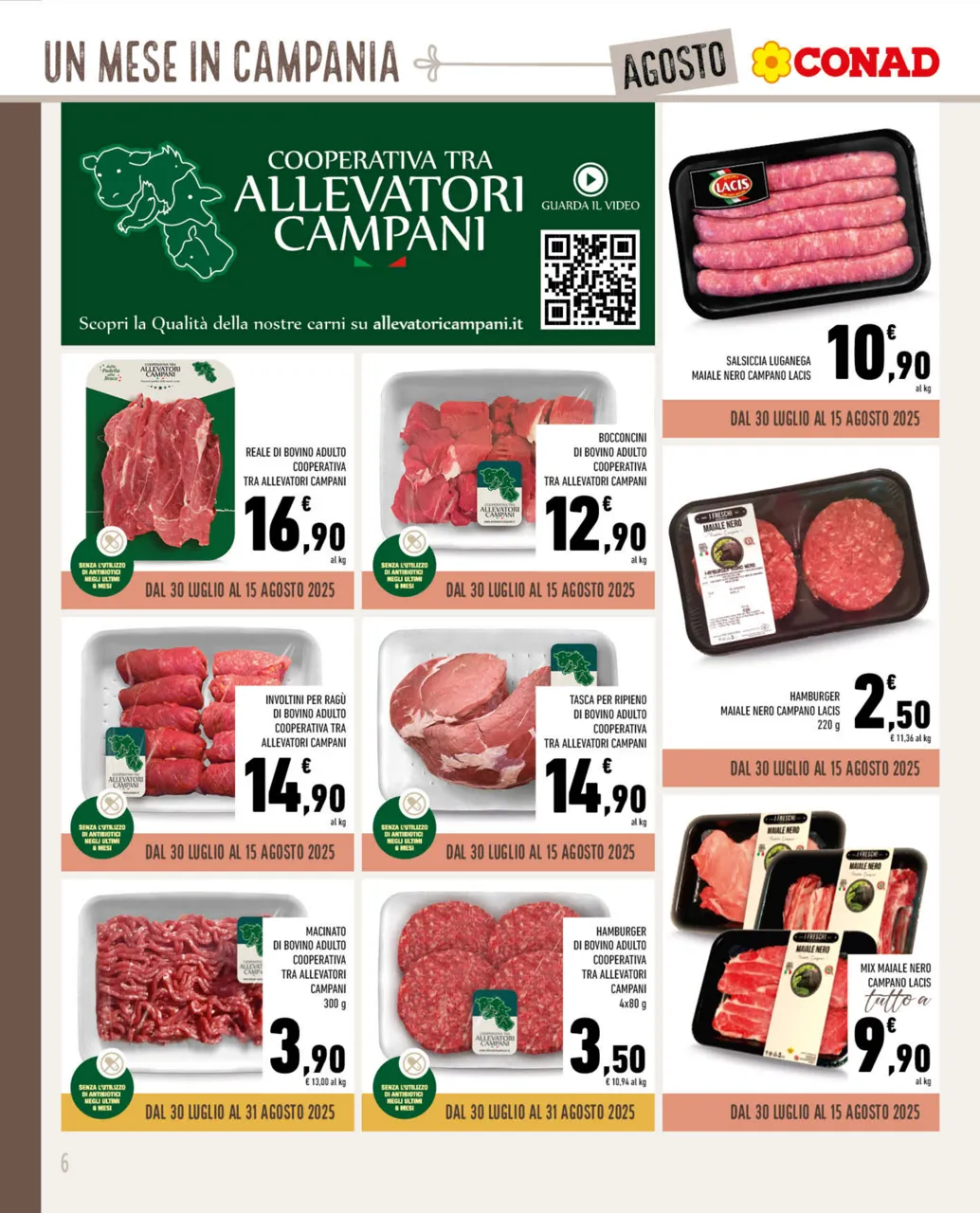 Pagina 6