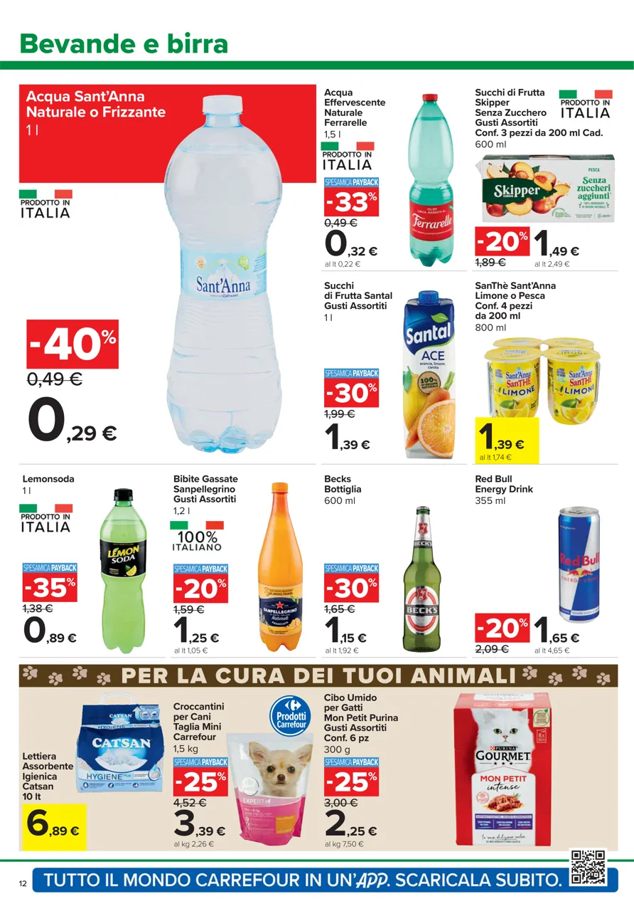 Pagina 12