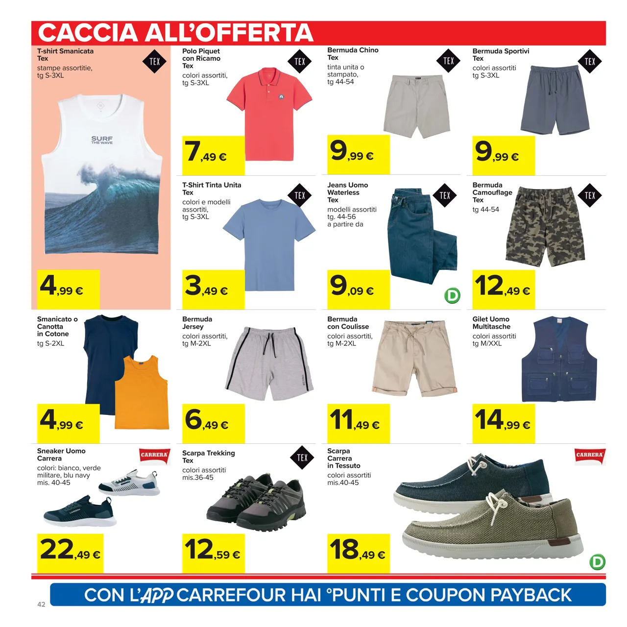 Pagina 42