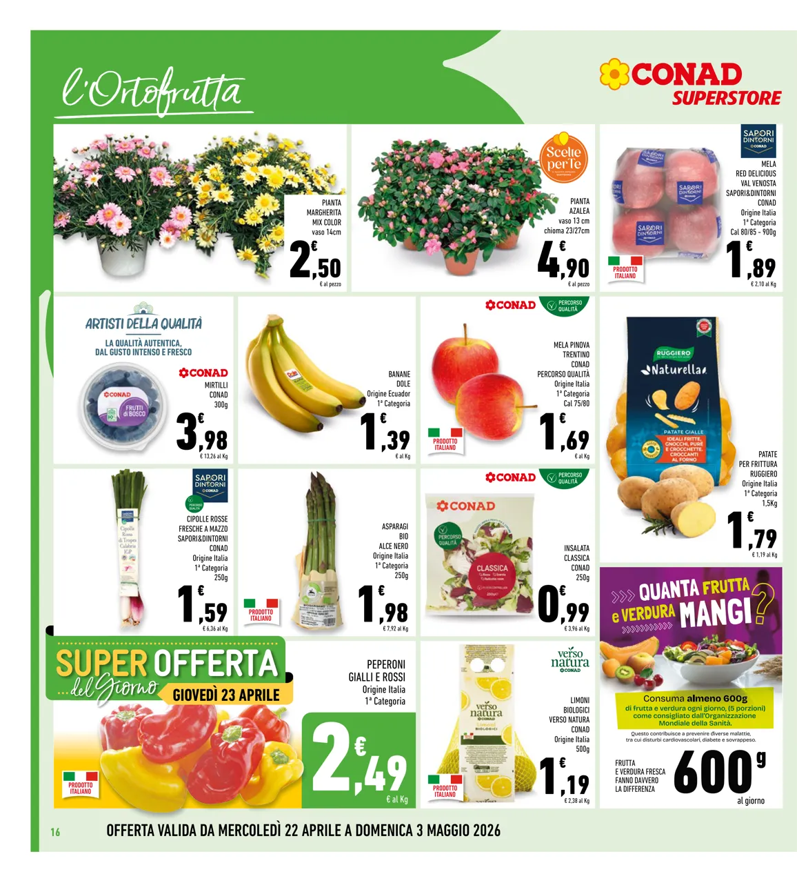 Pagina 16