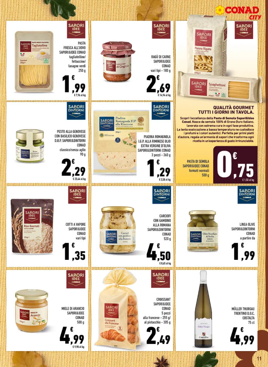 Pagina 11