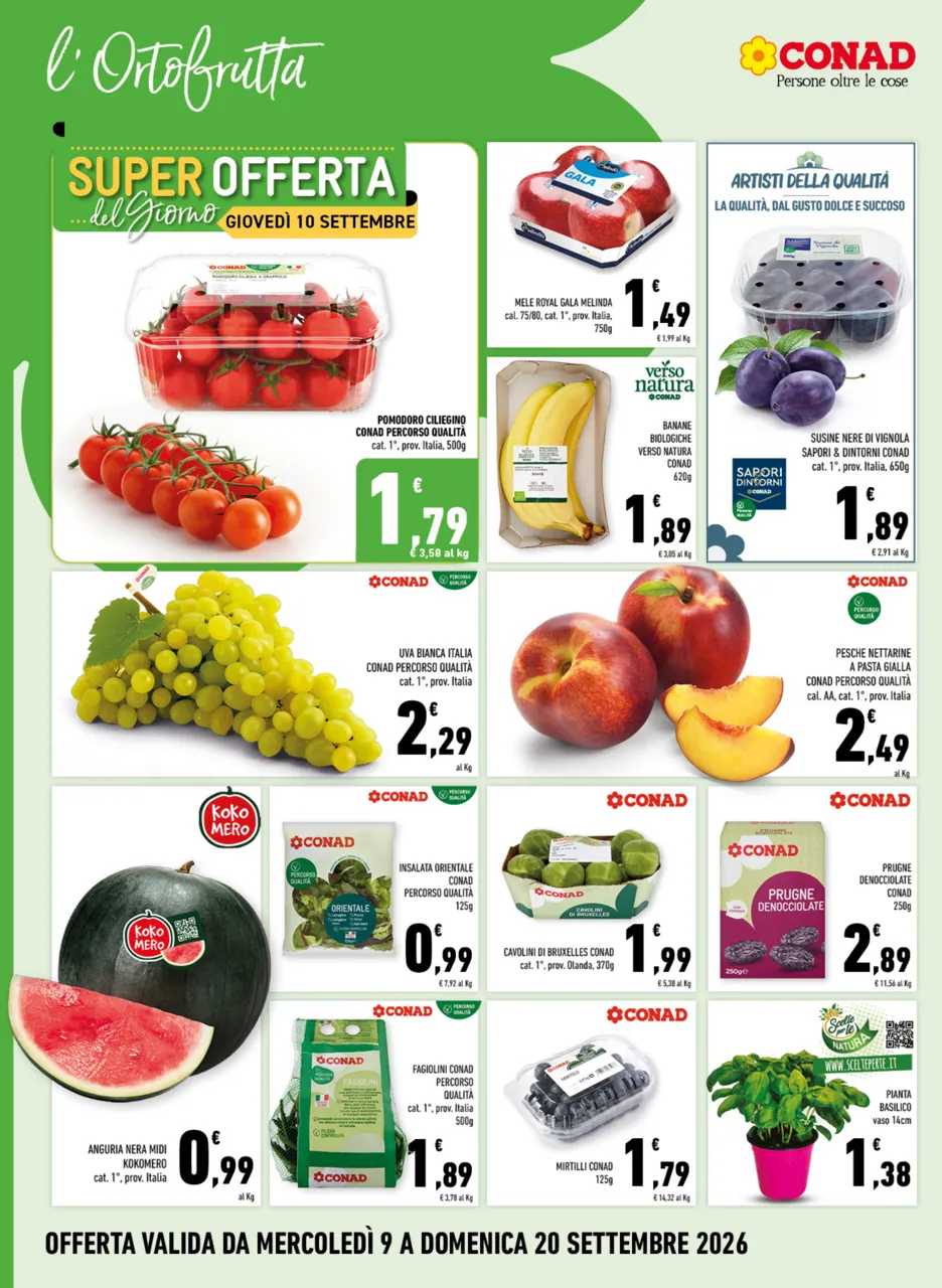 Pagina 2