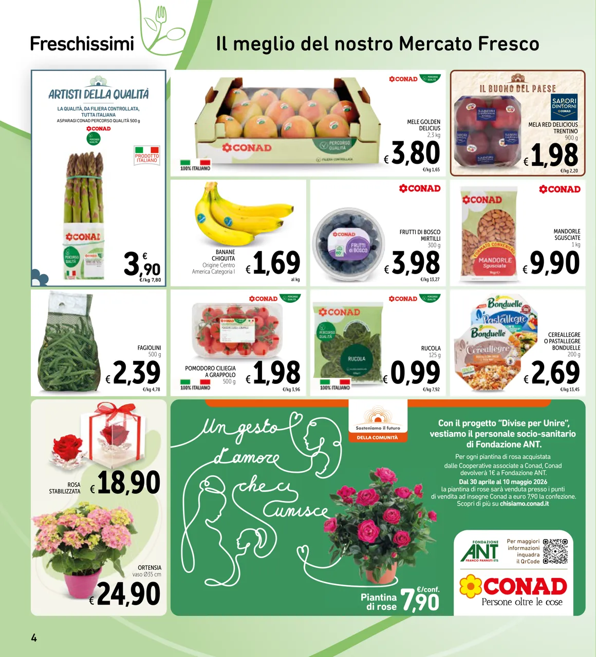 Pagina 4