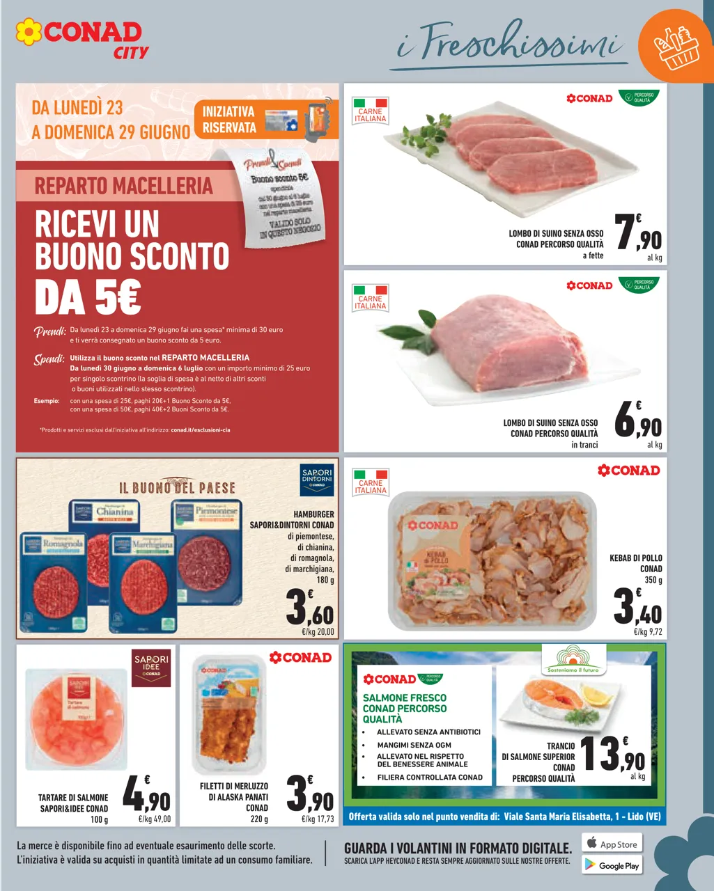 Pagina 11