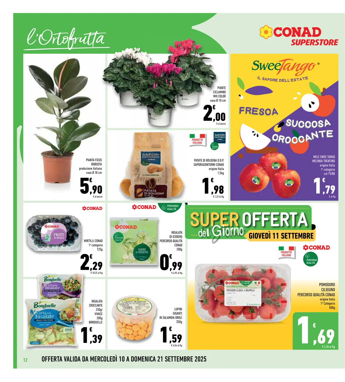Pagina 12