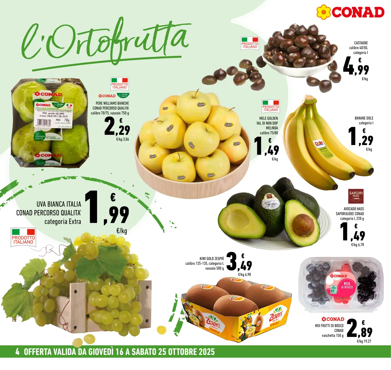 Pagina 4
