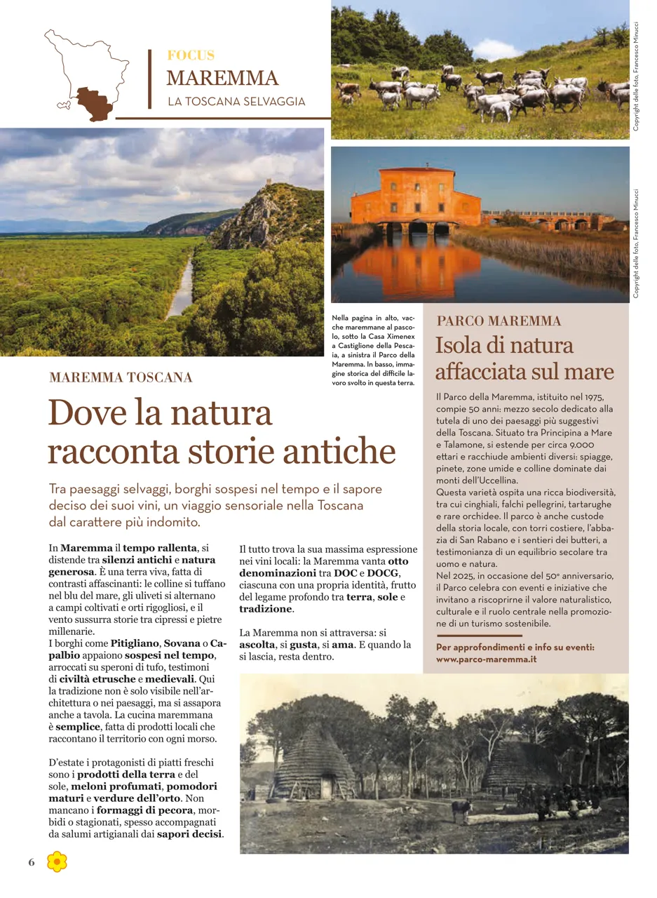 Pagina 6