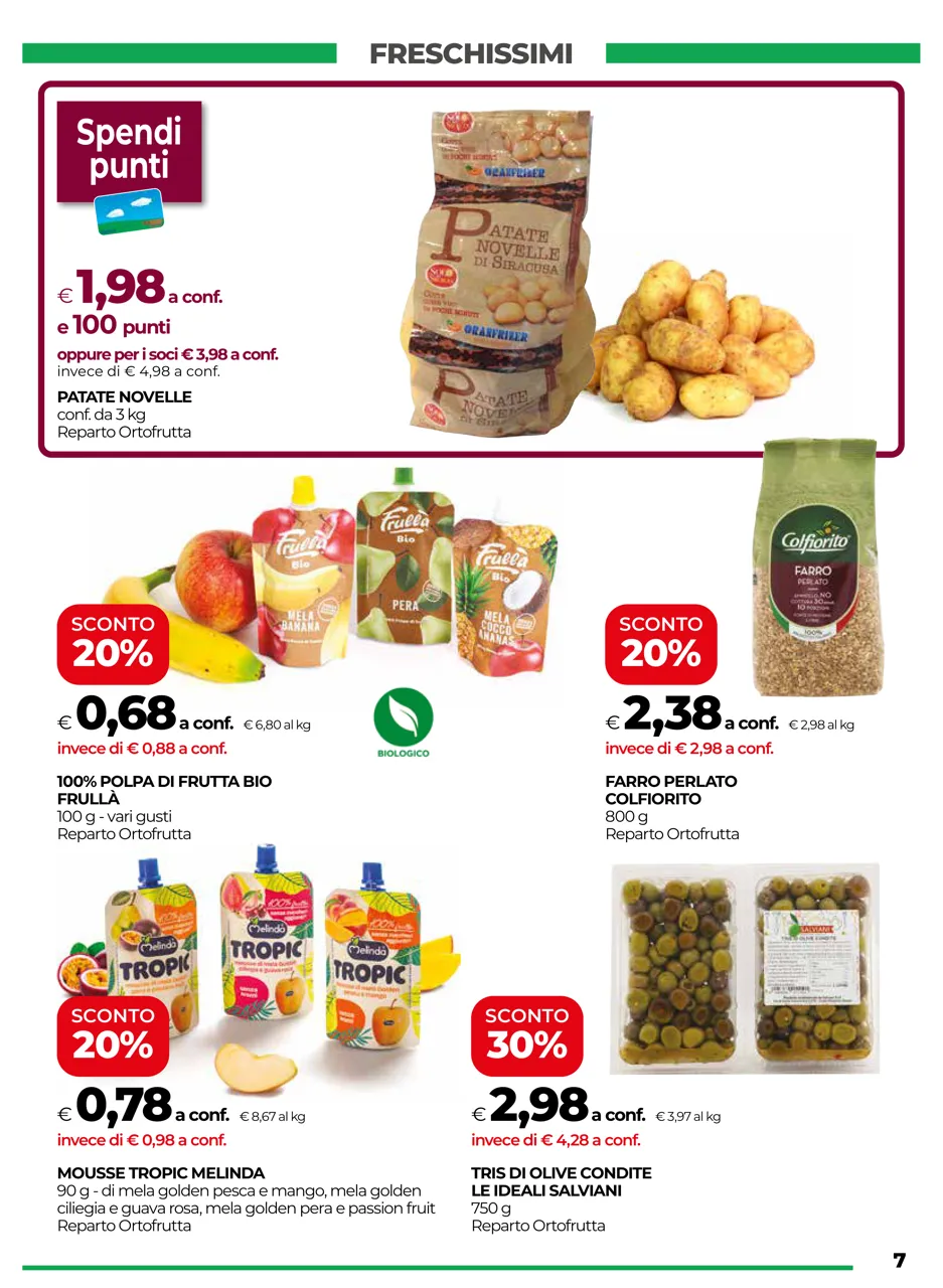 Pagina 7