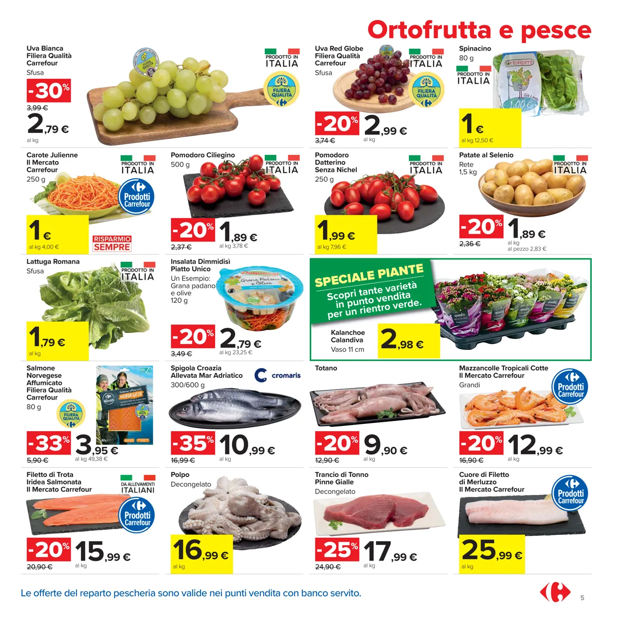 Pagina 5