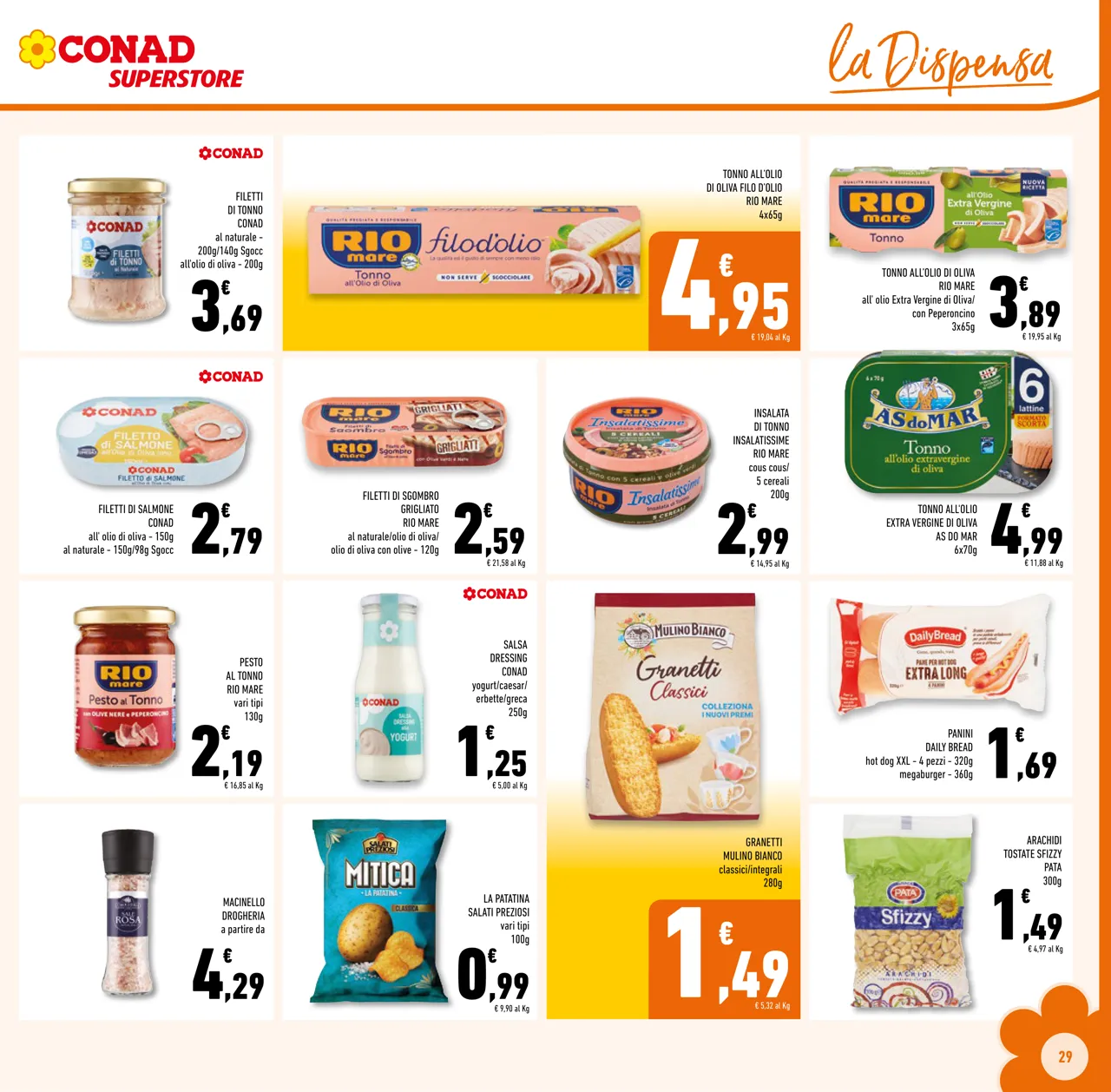 Pagina 29