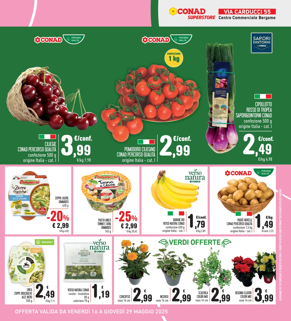 Pagina 7