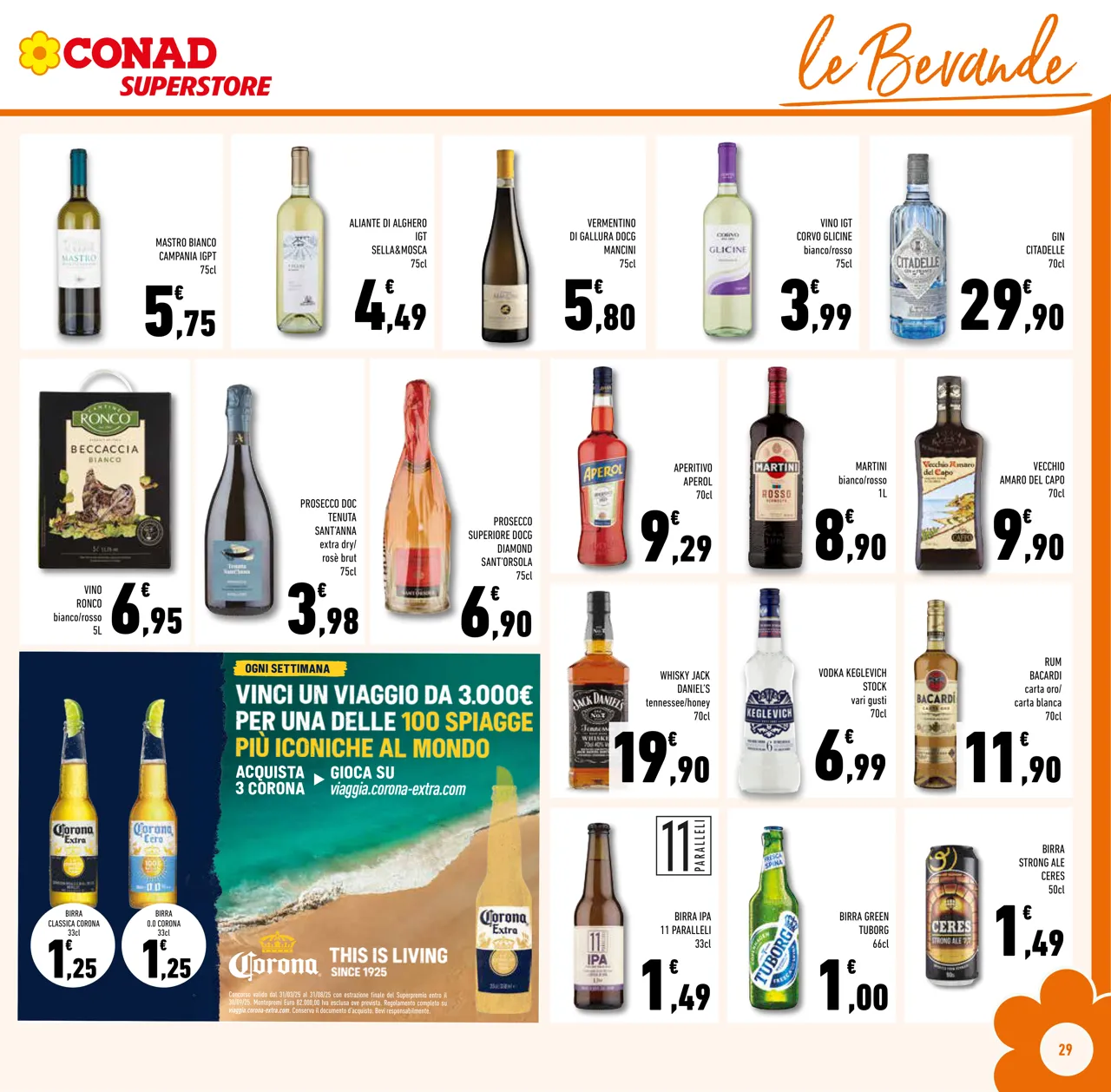 Pagina 29
