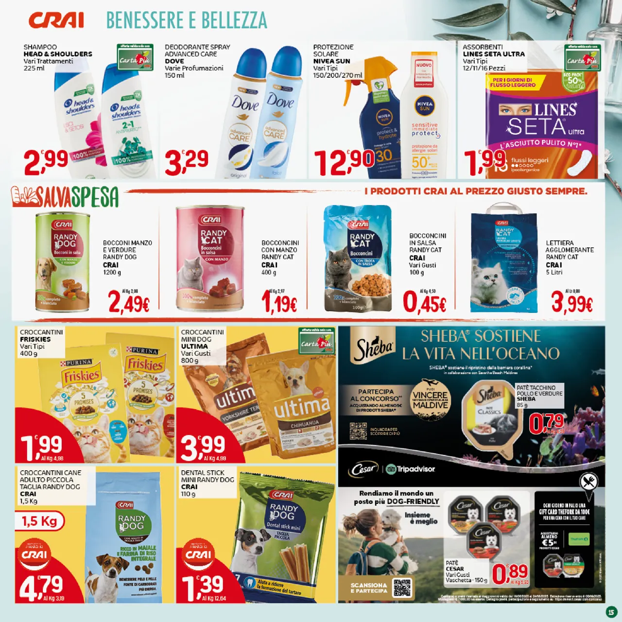 Pagina 15