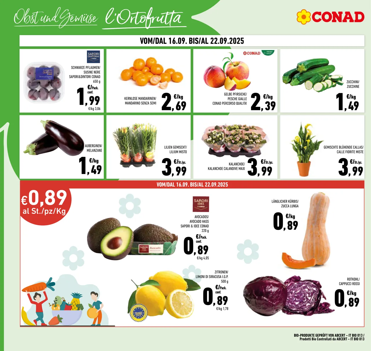 Pagina 4