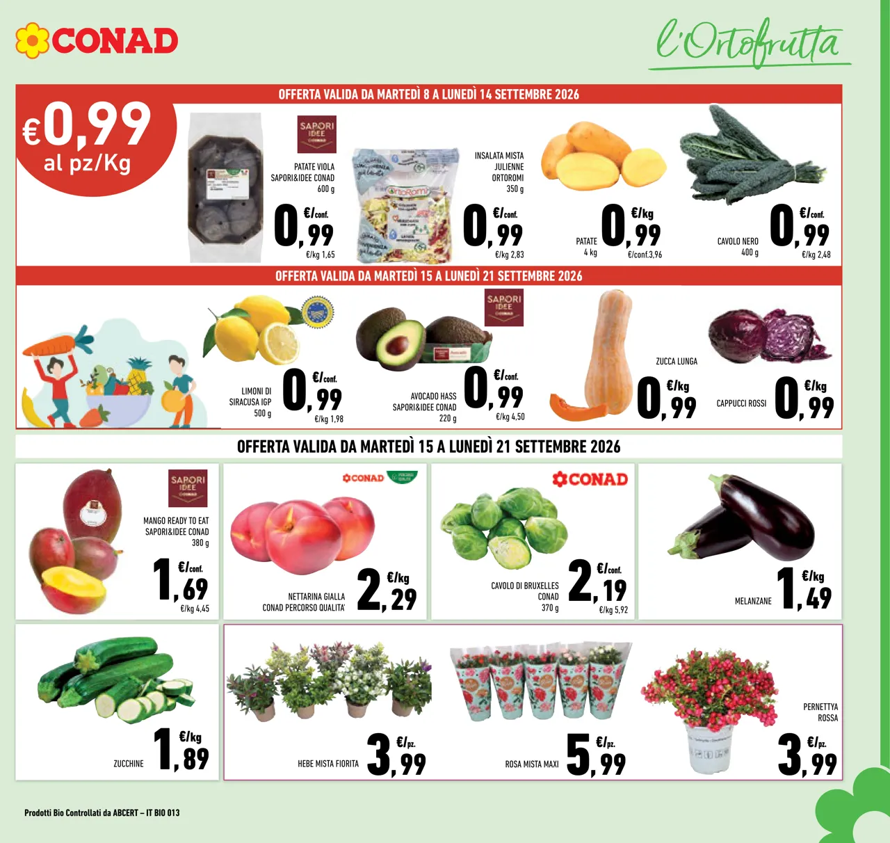 Pagina 3