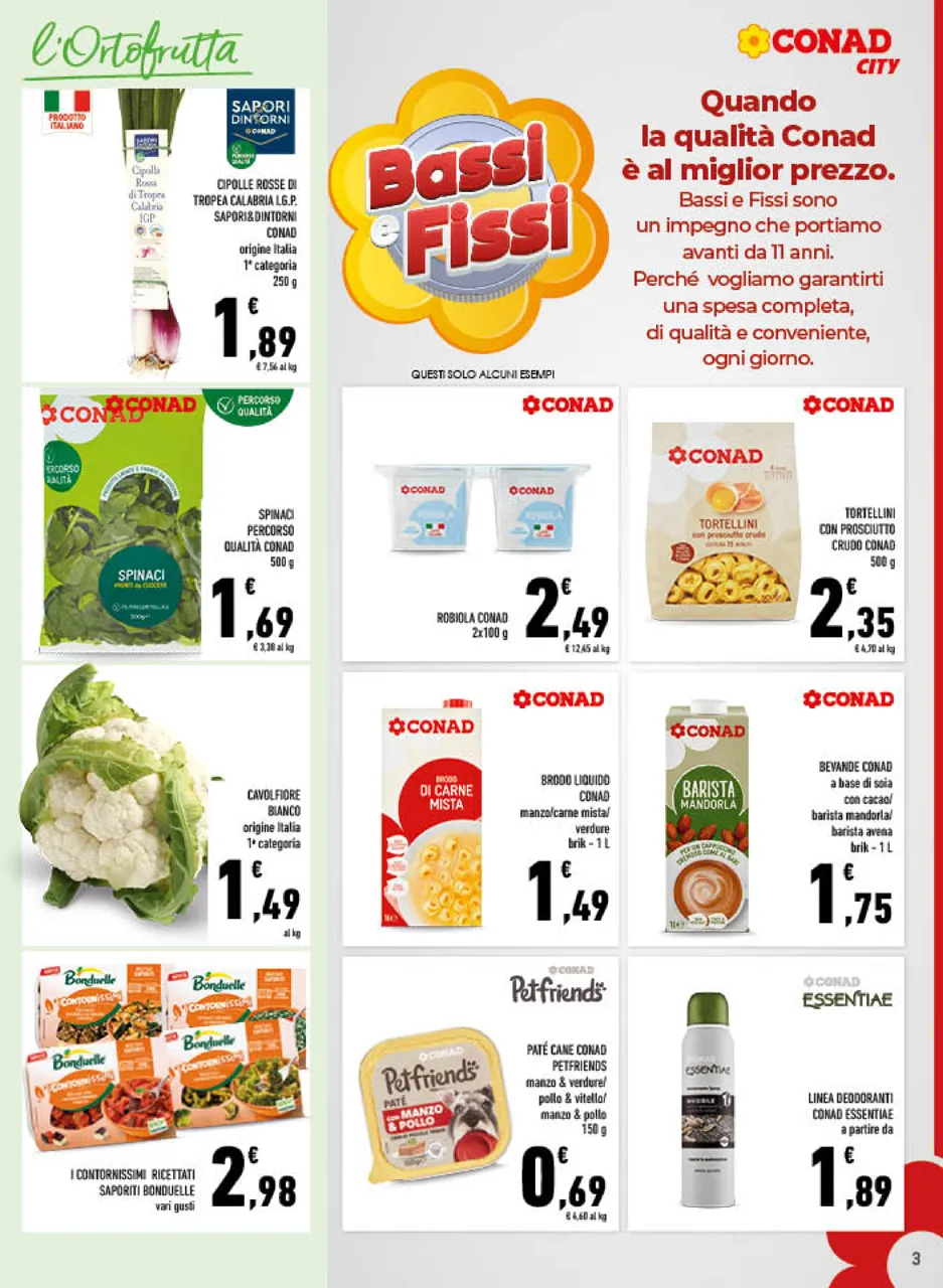 Pagina 3