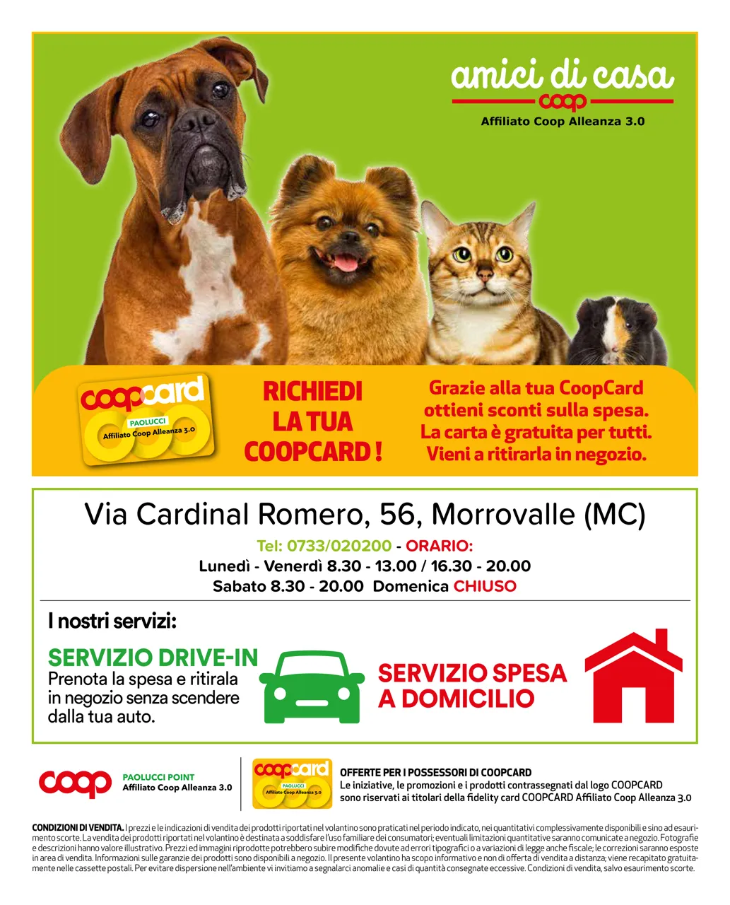 Pagina 11