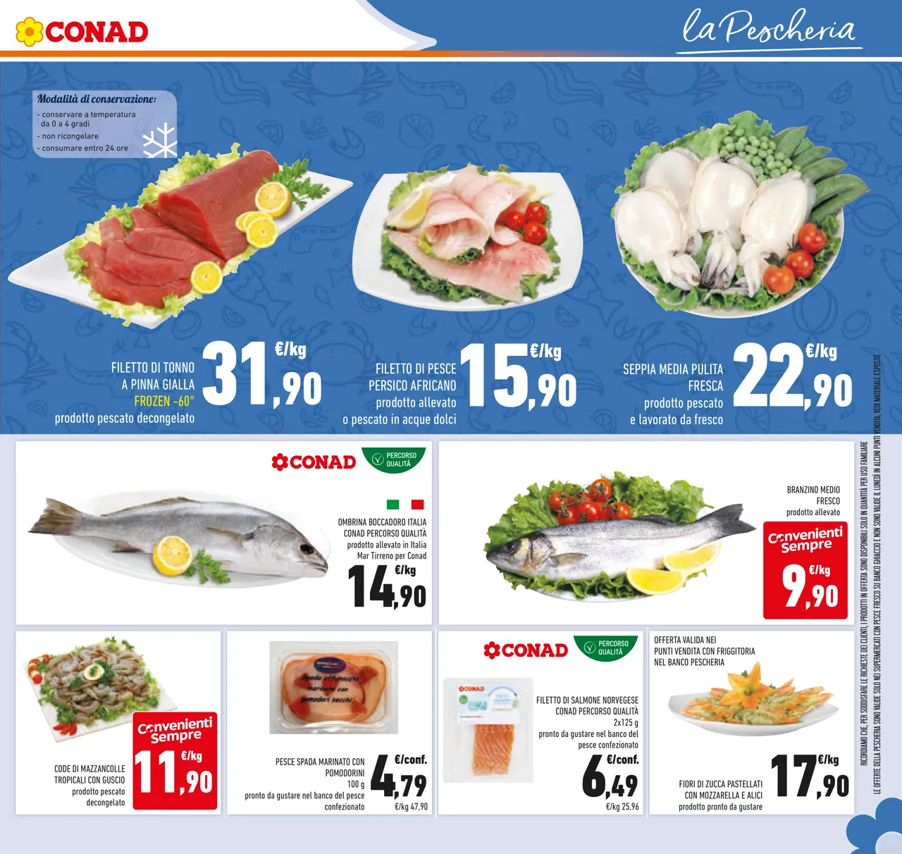 Pagina 31