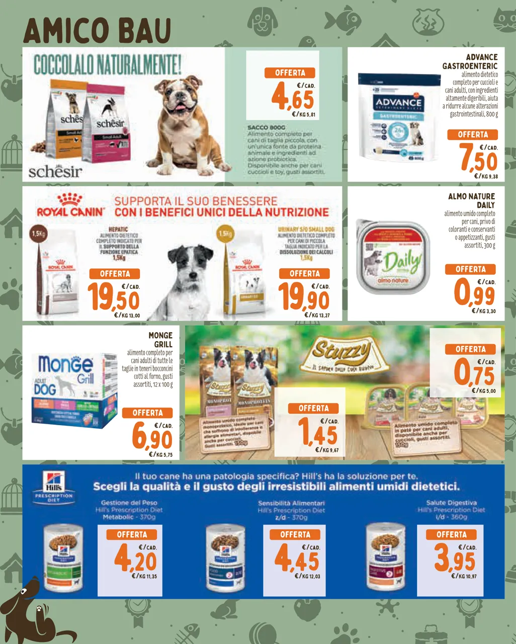 Pagina 2