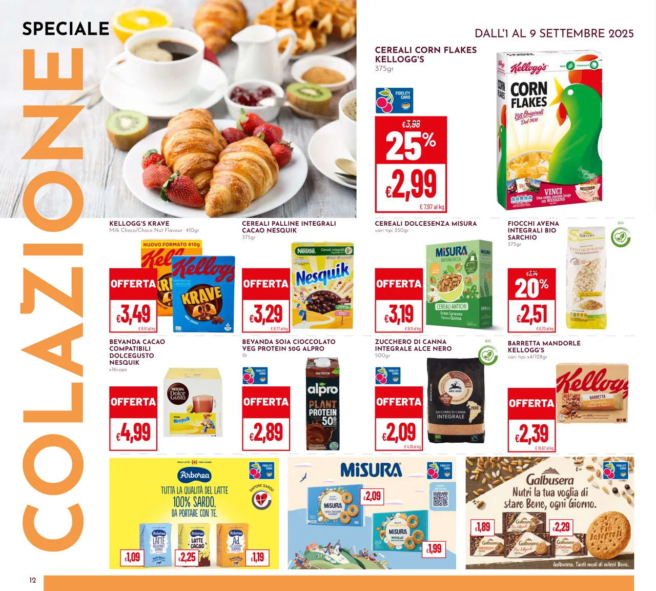 Pagina 12