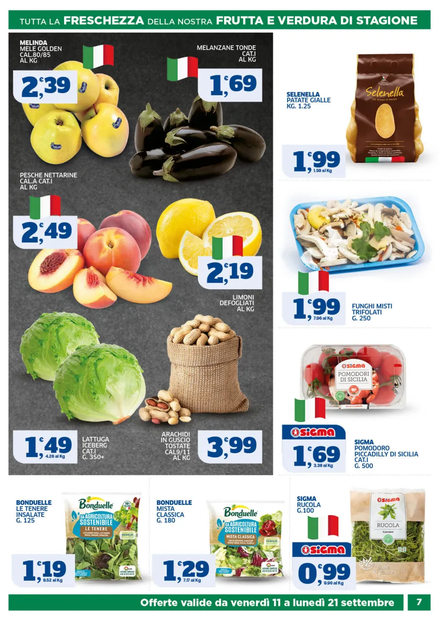 Pagina 7
