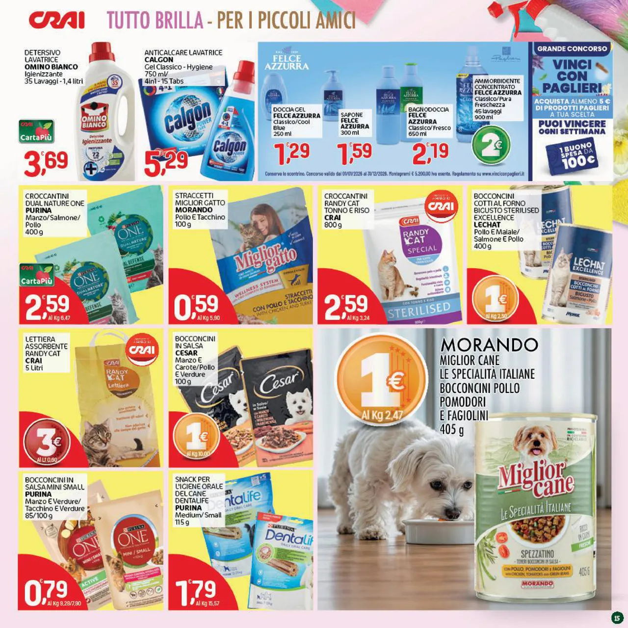 Pagina 15