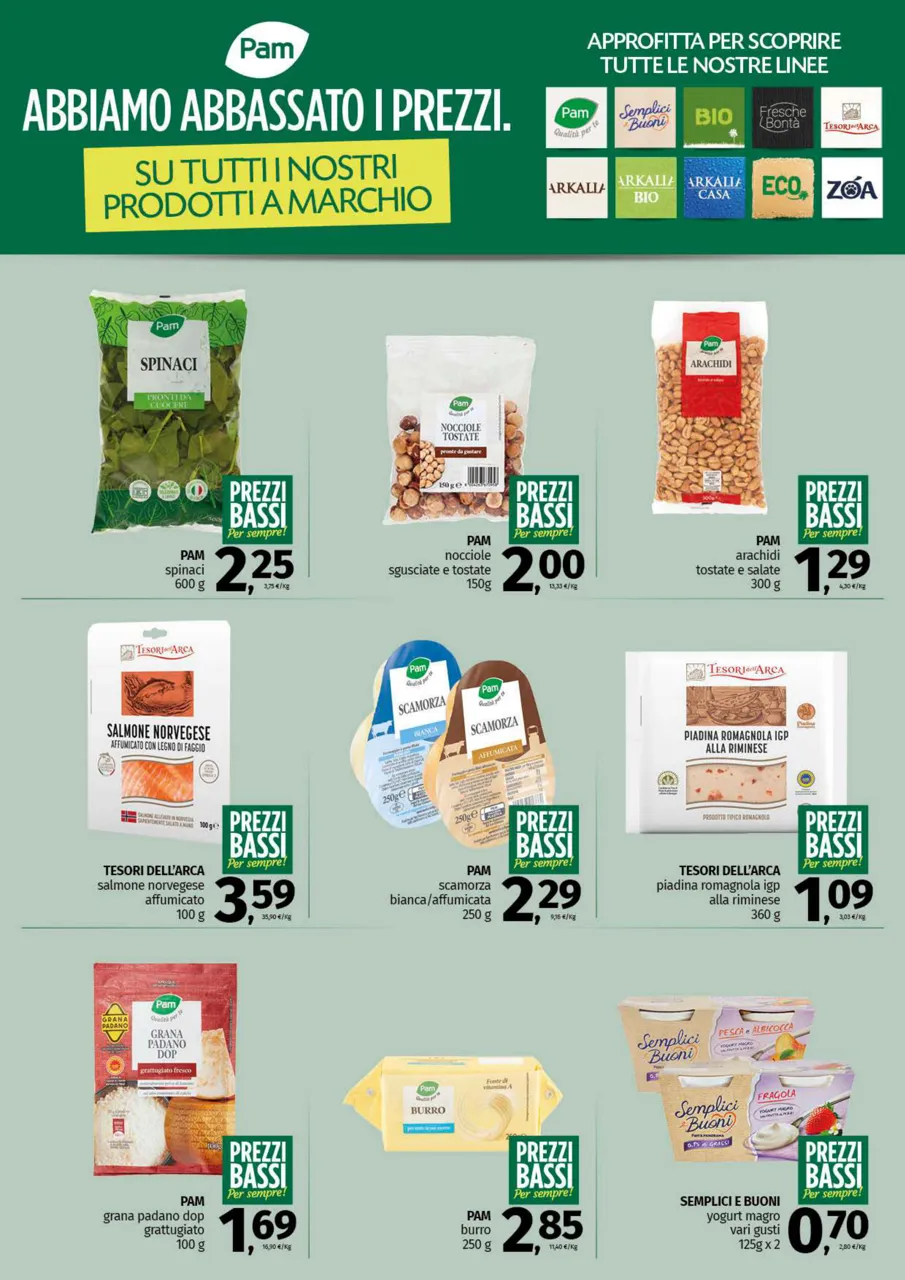 Pagina 3
