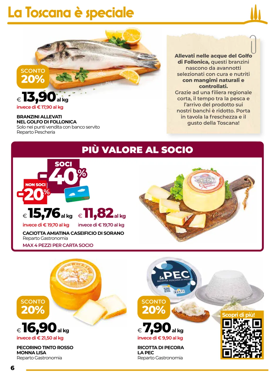 Pagina 6