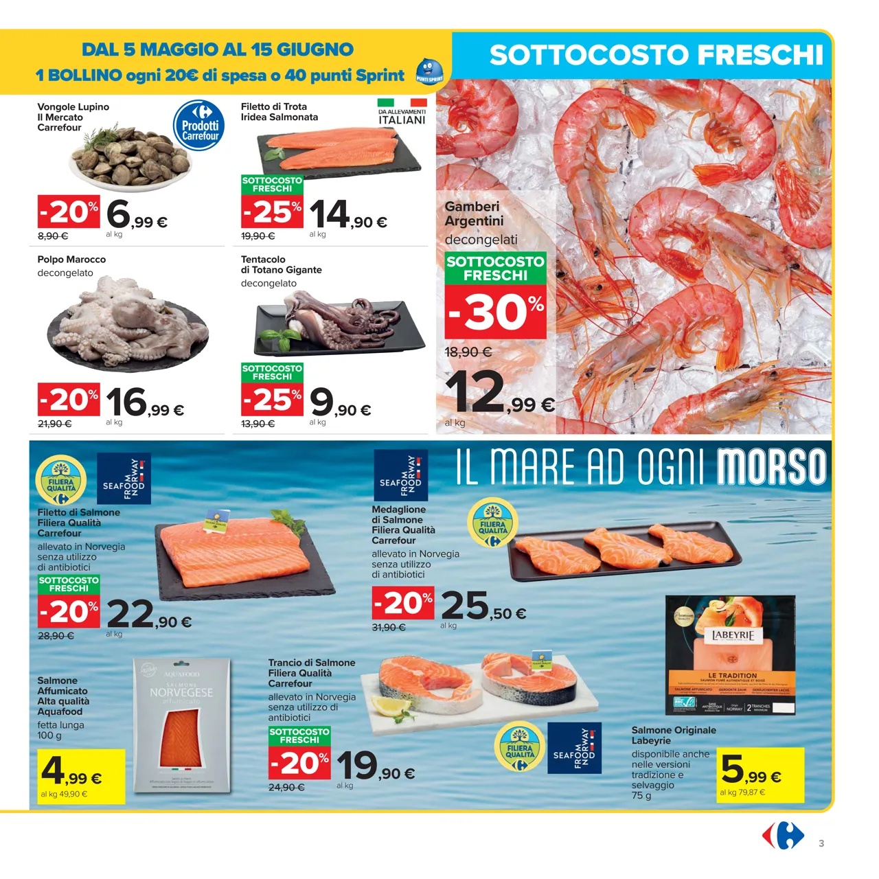 Pagina 3