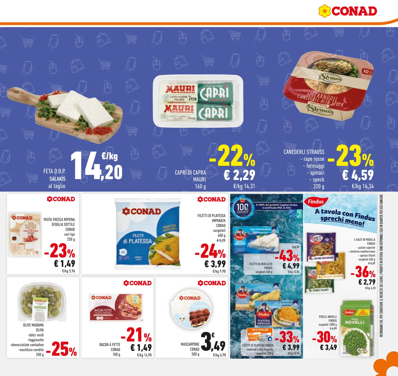 Pagina 31
