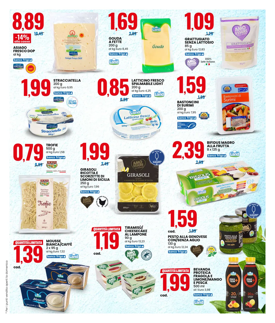 Pagina 3