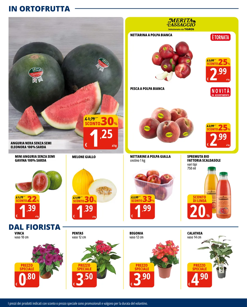 Pagina 12