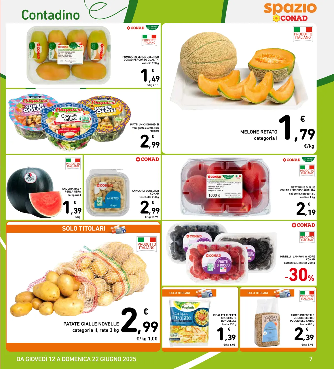 Pagina 7