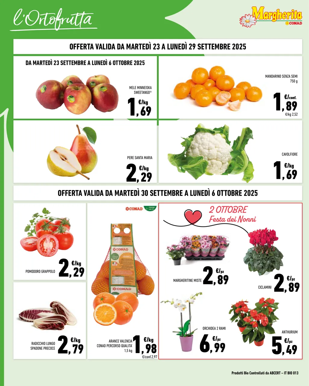 Pagina 2