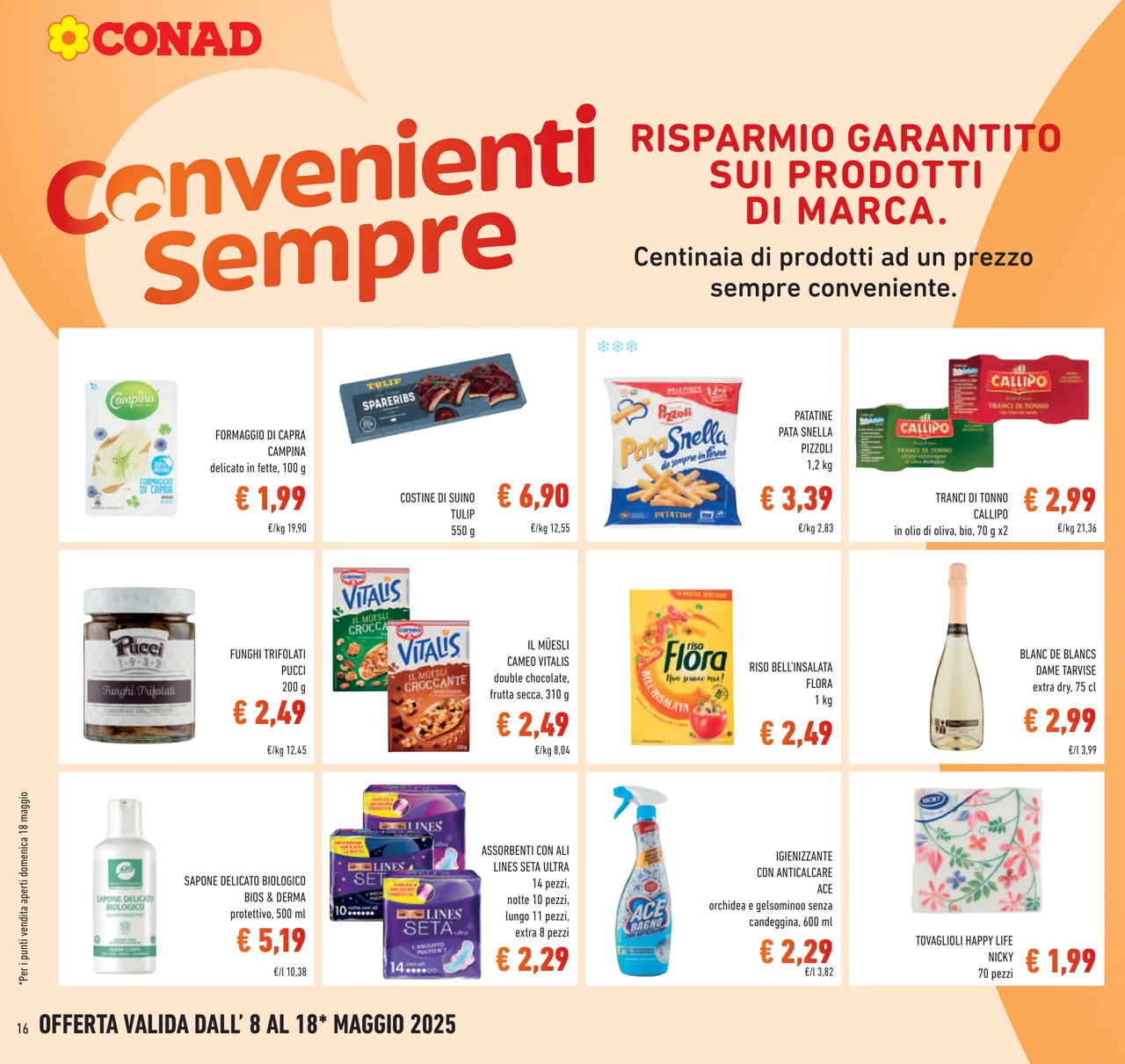 Pagina 16