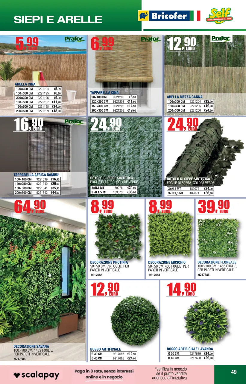 Pagina 49