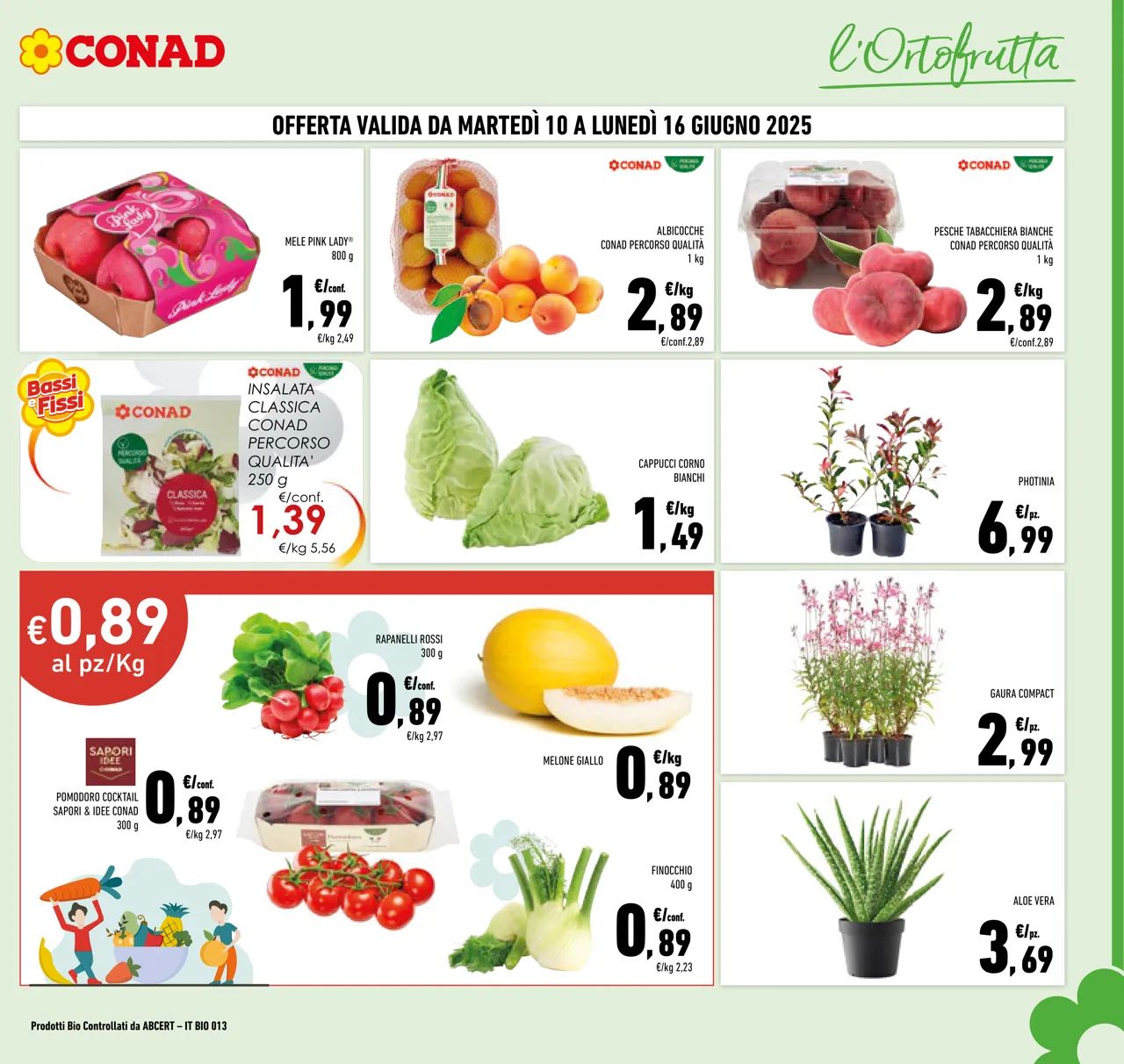 Pagina 7