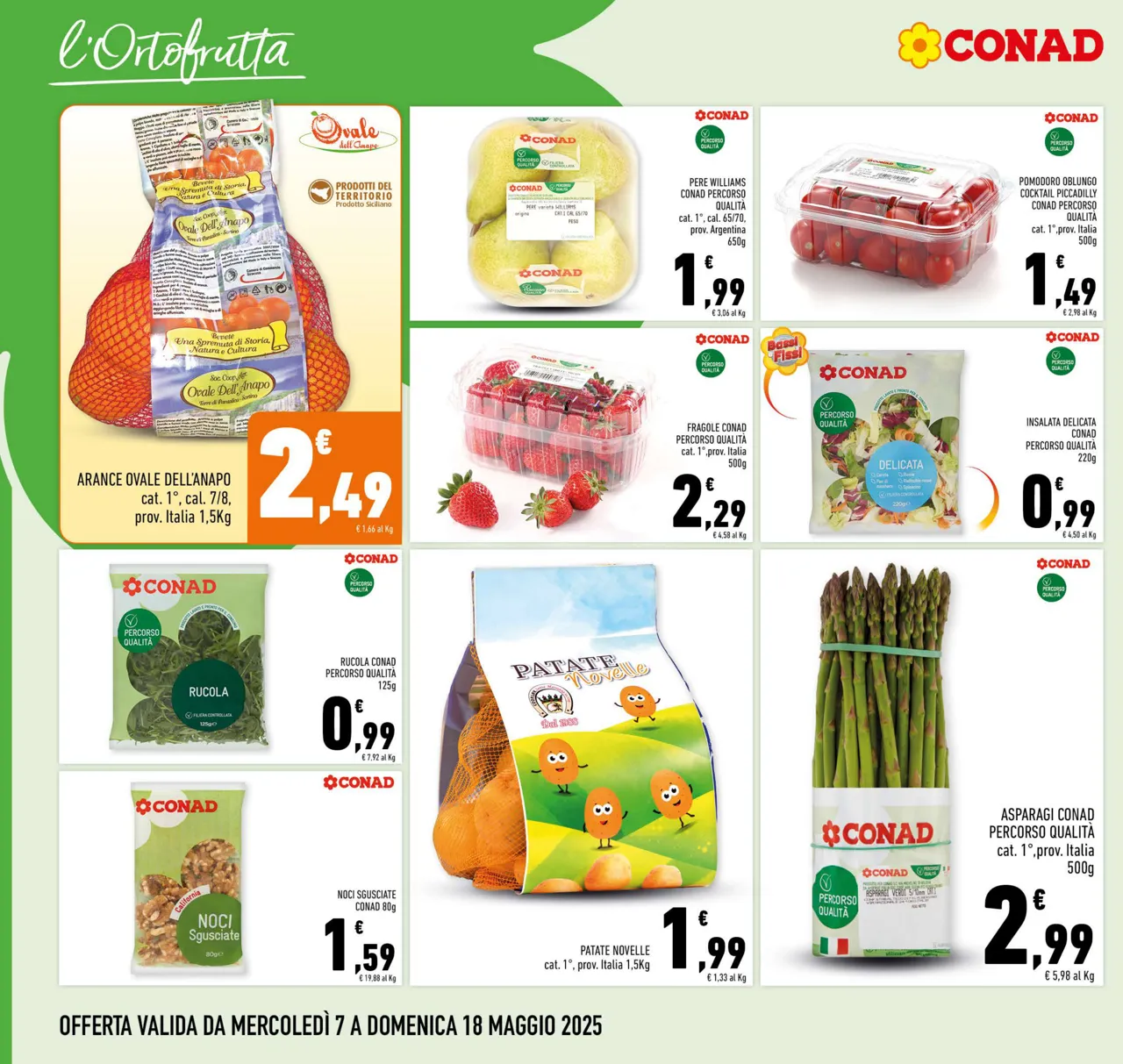 Pagina 6