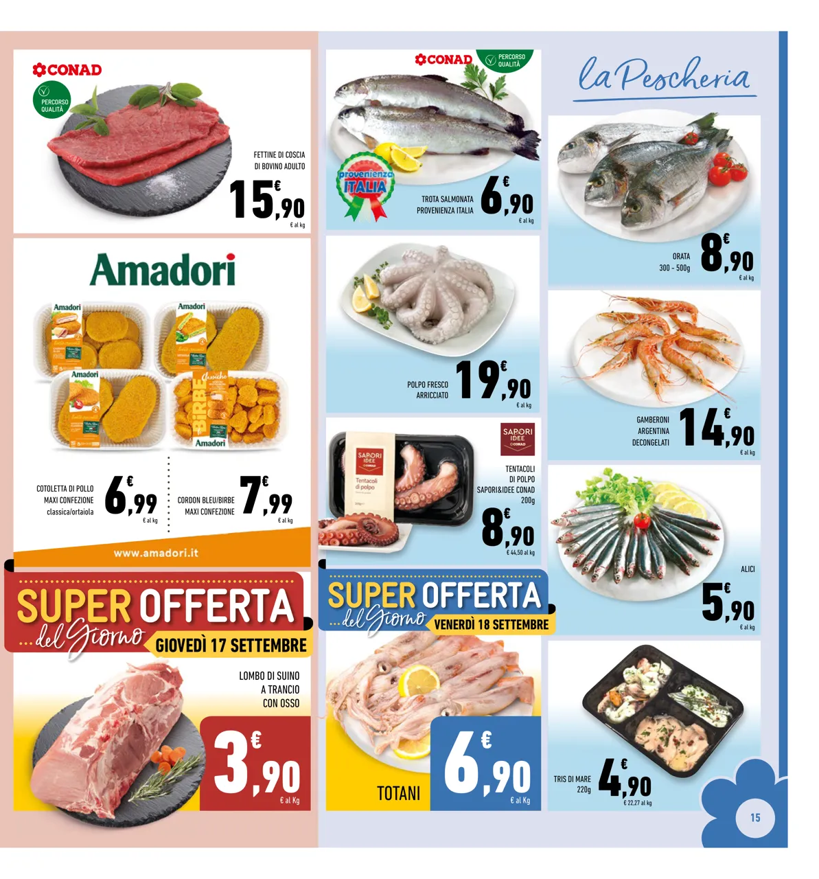 Pagina 15