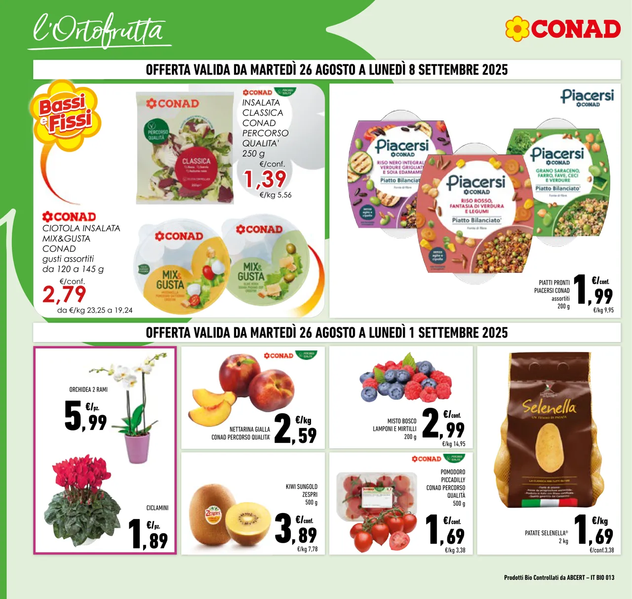 Pagina 2