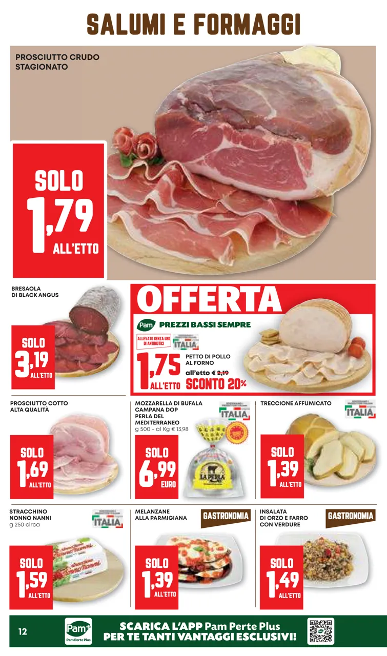 Pagina 12