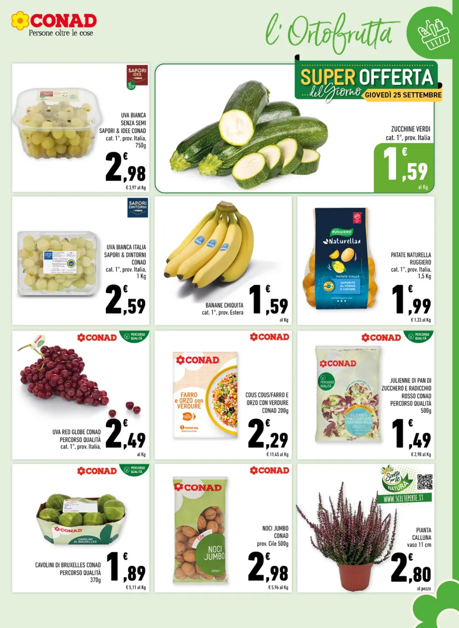 Pagina 5