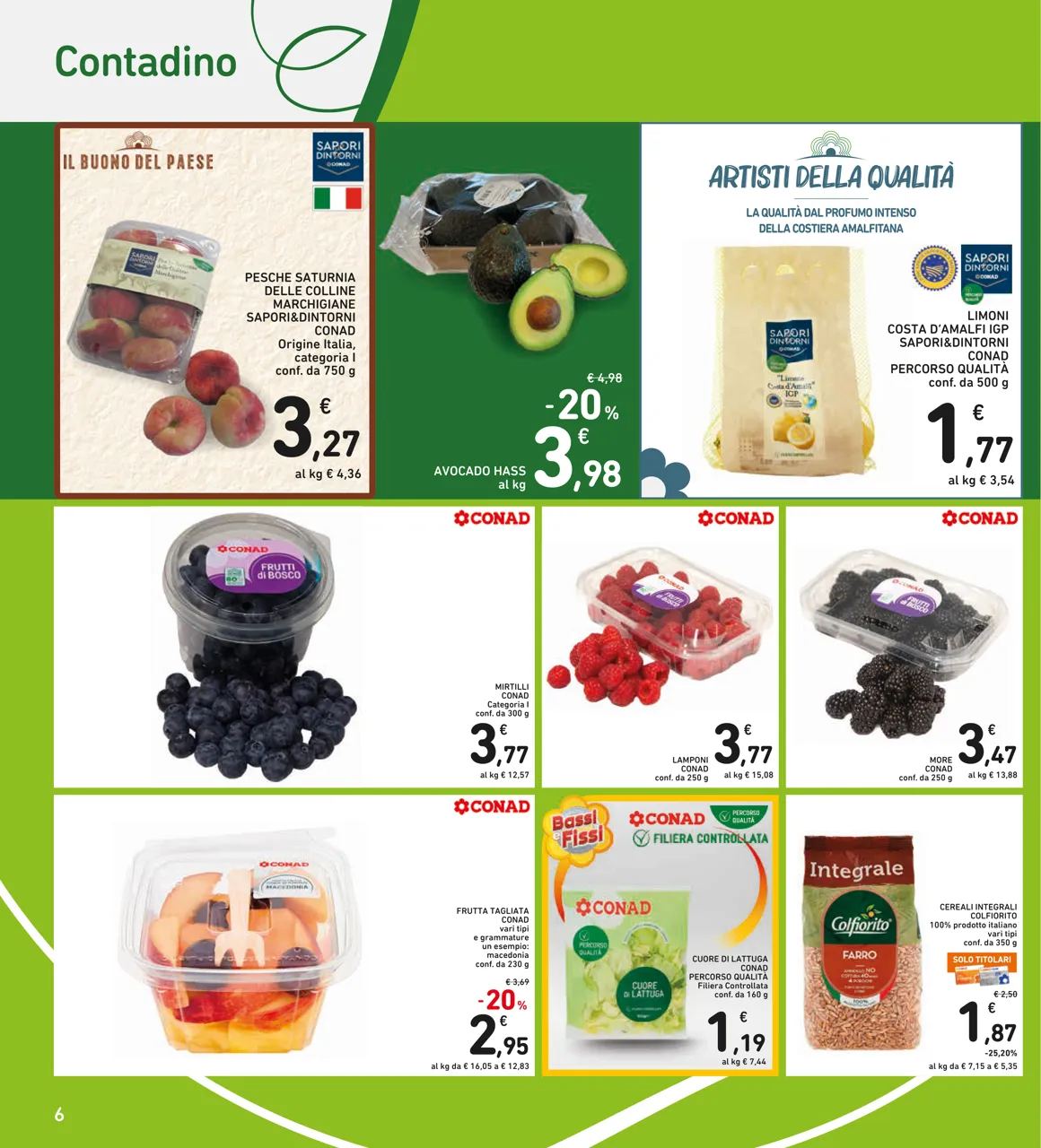 Pagina 6