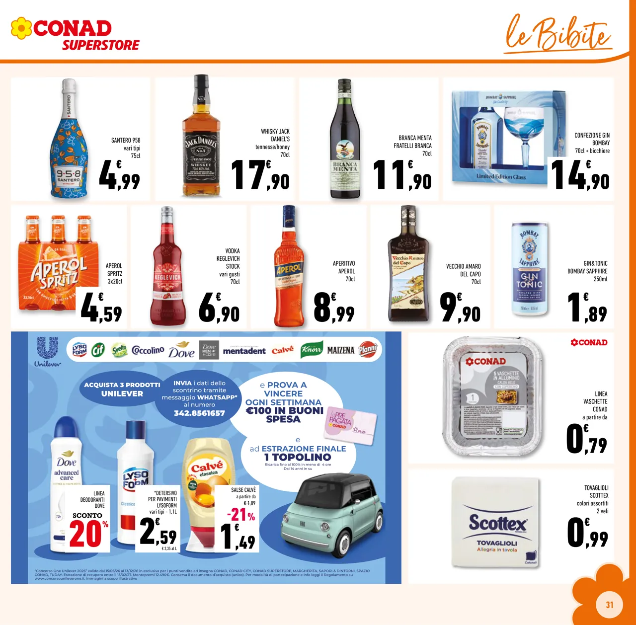 Pagina 31