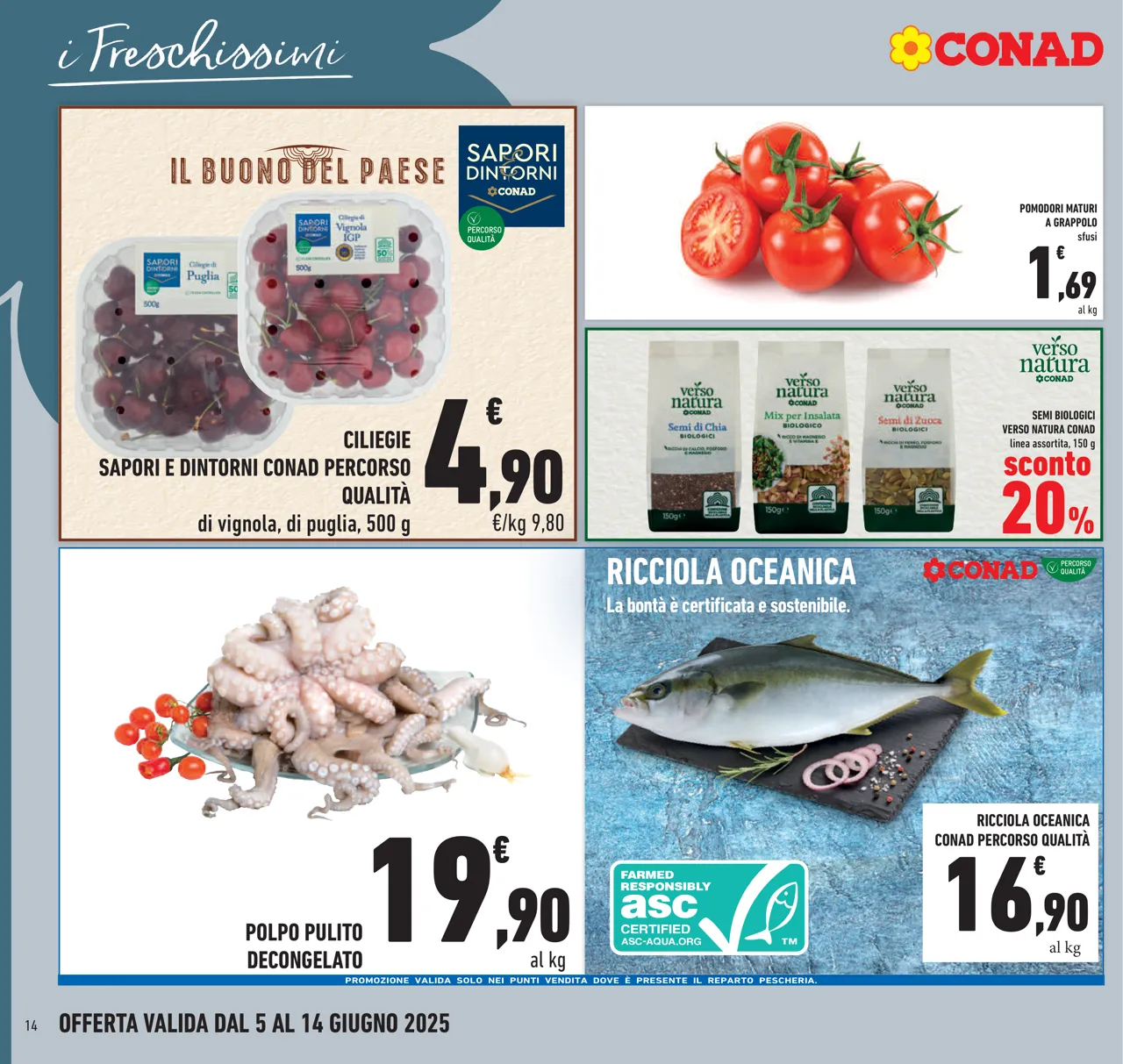 Pagina 14